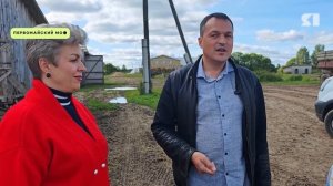 В Ярославской области активно разводят романовскую овцу