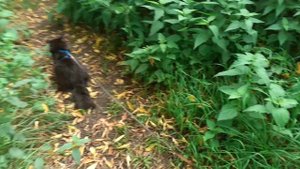 Вышли погулять.