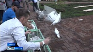 В Свирске по национальному проекту "Инфраструктура для жизни" обустраивают экопарк