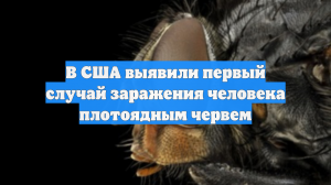 В США выявили первый случай заражения человека плотоядным червем