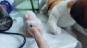 РАЗГОВОРНОЕ ВИДЕО!?ЗАДАВАЙТЕ ВОПРОСЫ ОБЯЗАТЕЛЬНО ОТВЕЧУ!