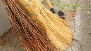 Активисты молодежных организаций участвовали в субботнике на Гизельском кладбище