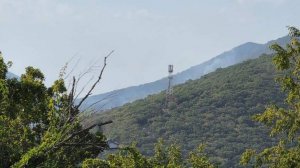 Площадь лесного возгорания под Геленджиком достигла 39 га