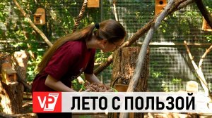 28_08_25_ТРУДОУСТРОЙСТВО_ШКОЛЬНИКОВ_ТИТР