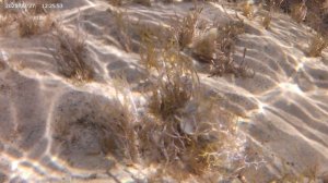 День 12 (27.08.25) - Турбаза Энергетик