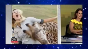 ВИДЕО-ПРИКОЛЫ #28