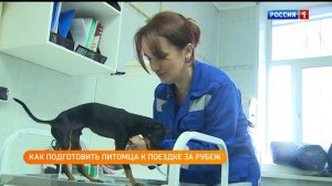 Россельхознадзор_Как подготовиться к путешествию с питомцем_Полезная передача_29.08.2025г.