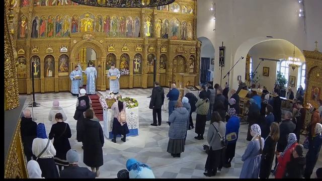 Прямая трансляция смотреть онлайн