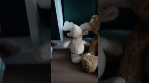 Урчащие животы