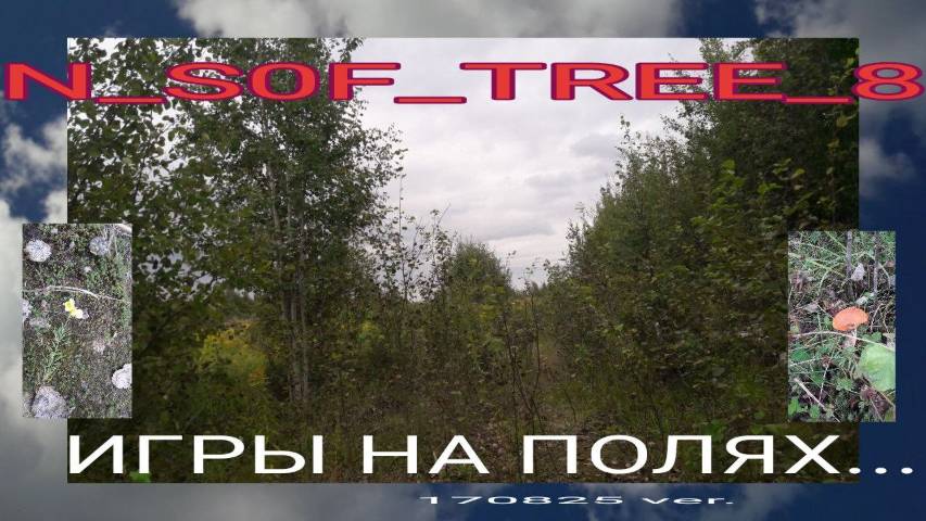ИГРЫ С .. НА ПОЛЯХ ... ЛЕН ОБЛАСТЬ _ КИРОВСК 170825 - N_S0F_8