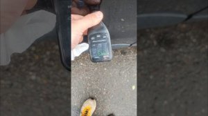 1000023877.mp4