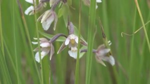 Исследования на Кандры-куле