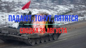 Падают, тонут, пятятся. Сводка 29 августа
