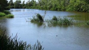 В Армавире открыли экотропу «Чистые берега» протяженностью 5 км