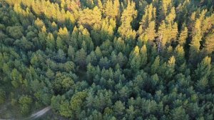 "Мыза",  дом в лесу. С 3 минуты.