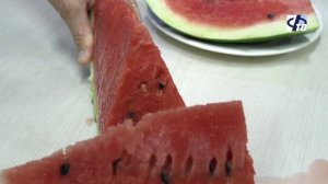 Арбузная пора