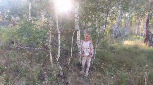 фотасэсия в лесу