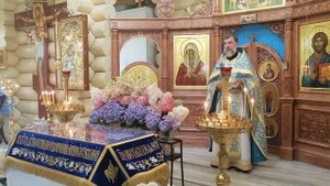 Живое Евангелие