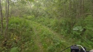 Восход 3м-01 - завалы, глубокие калеи, борщевик и броды