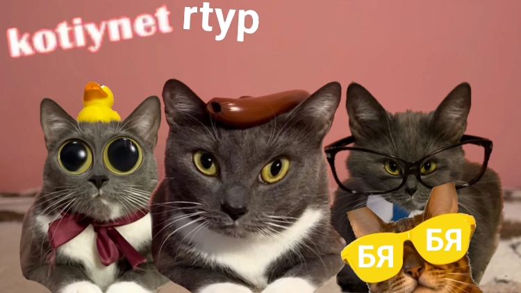 kotiynet RTYP😹
