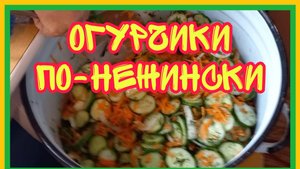 22/8 25 Ч 2 РАСПАКОВОЧКА.  ПЕРЦЫ КРАСНЕЮТ  ОГУРЦЫ СЛОНОПОТАМЫ. УРАГАН НАЛЕТЕЛ.