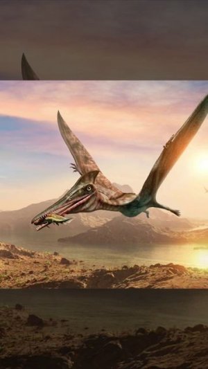 Птерозавр вылетел наружу, сьемки очевидца #птеродактиль