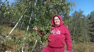 Тэллэйдьиттэр