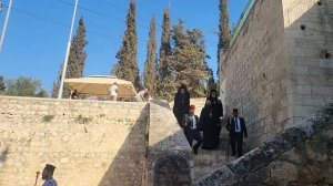 Торжественная встреча Архиерея в Храме Успения Пресвятой Богородицы