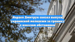 Нардеп Дмитрук связал выпуск украинской молодежи за границу с накалом обстановки