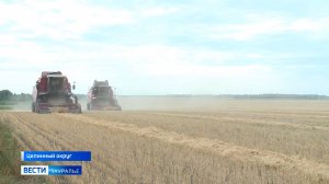 Лето подходит к концу, а это значит, что пришло время жатвы