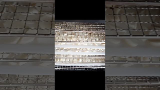 Дела дачные. Важно не только вырастить урожай, но и сохранить его.