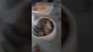 обзор на коллекцию камней