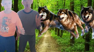 Страшилки на ночь!