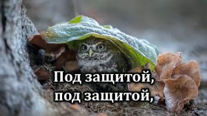 104. Буду жить под защитой Твоих крыл