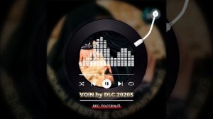 VOIN by DLC 20203 - БЕС ПОЛЕЗНЫЙ