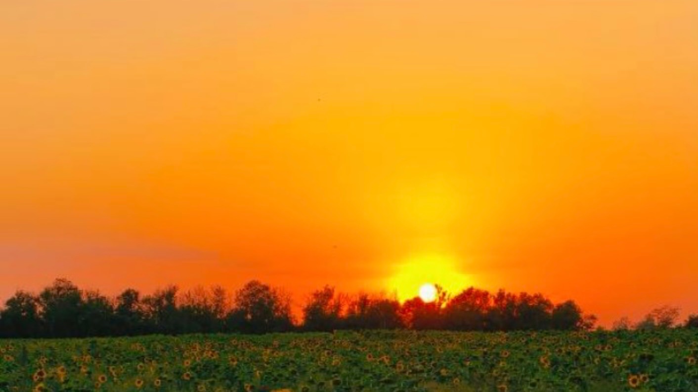 М4-Дон в фотографиях. Август 2025 смотреть онлайн