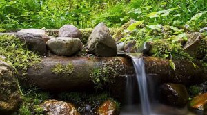 Программа "Главные новости" на 8 канале от 29.08.2025 Часть 2