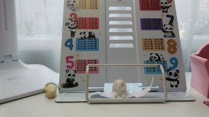 обзор на асистентов и 1 пропал