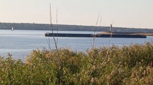 ДАЧА У  ВОЛГИ  / ПРОГУЛКА / НАШИ ПРОСТОРЫ