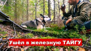 Ушёл в железную ТАЙГУ! Заброшенные лесные железные дороги. Тонны металла под ногами!