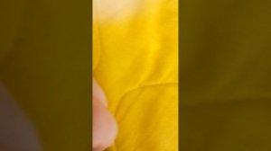 Как собрать игровой автомат из Lego без деталей техник