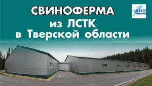 Свиноферма из ЛСТК в Тверской области