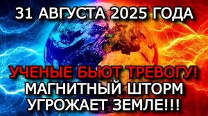 МАГНИТНЫЕ БУРИ 31 АВГУСТА 2025: ОПАСНОСТЬ ДЛЯ ЗЕМЛИ, УРОВЕНЬ 8 ПО K-ИНДЕКСУ!