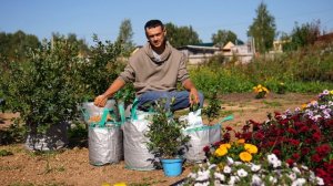 «Огород в подарок»: работы в сентябре