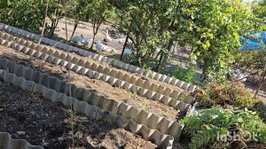 29.08.2025...влог...помидоры засохли/// вкусно и точка в домашних условиях 😄