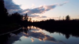 Пречистому образу Твоему