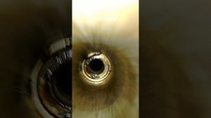 Эндоскопия гильзованного мотора м52б25