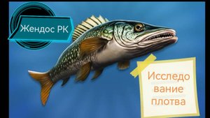 Реальная рыбалка 2. Исследование плотва на карасевом
