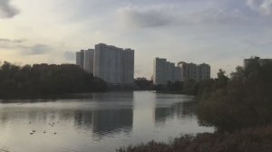 Вложки - Воровайка Бумер Пушкино Гуляем