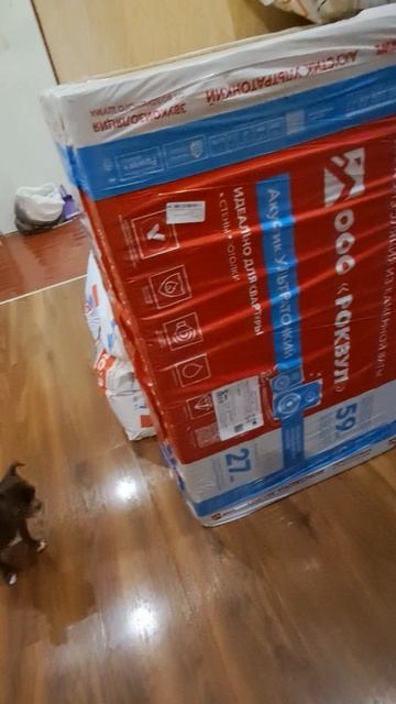 СПАСИБО ВАМ ЗА 100 ПДП 🤍 смотреть онлайн